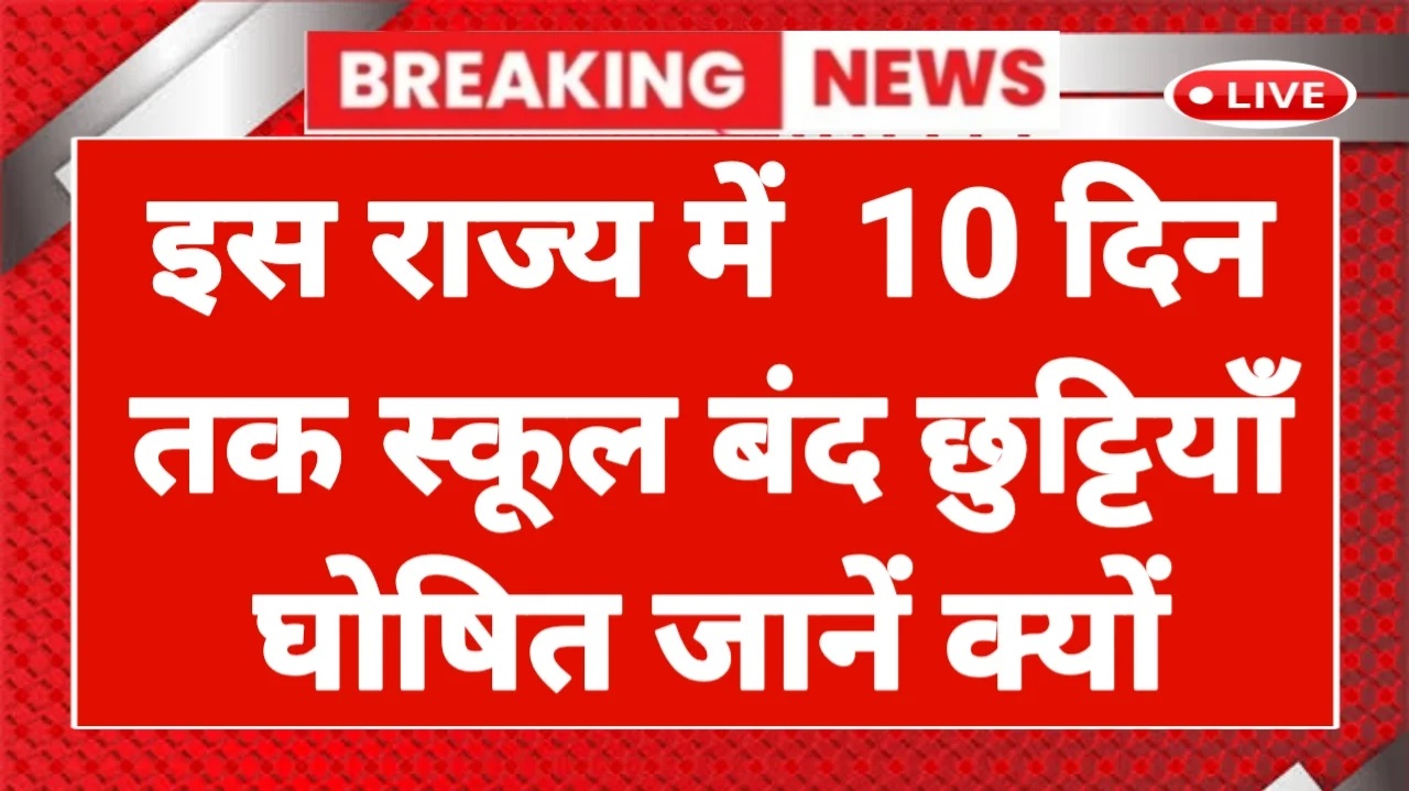 School Holidays News